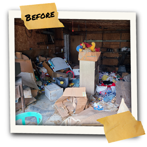 Fire Storm Ohio Before Cleanout